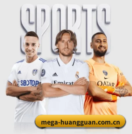 五个功能入口,赛程查询路径更短 - 多运动项目内容板块